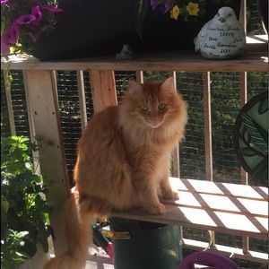 Meet your Posher, Maureen